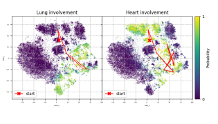 Example findings