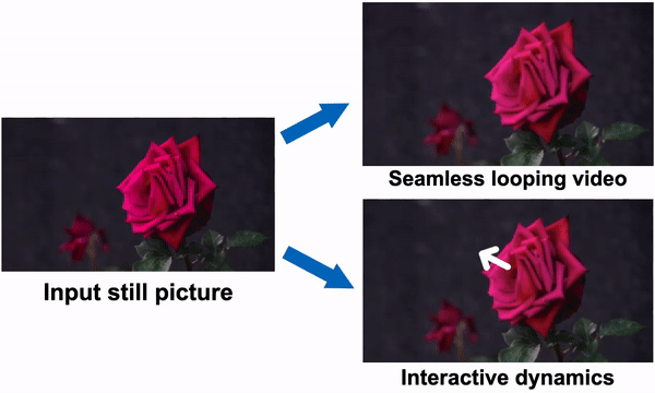 Bringing Still Pictures to Life with Neural Motion Textures