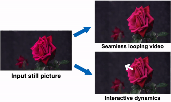 Example Neural Motion Texture generation